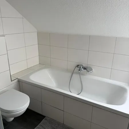 公寓 Goldstar Apartment- Hannover -sehnde 森德